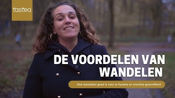 De kracht van wandelen