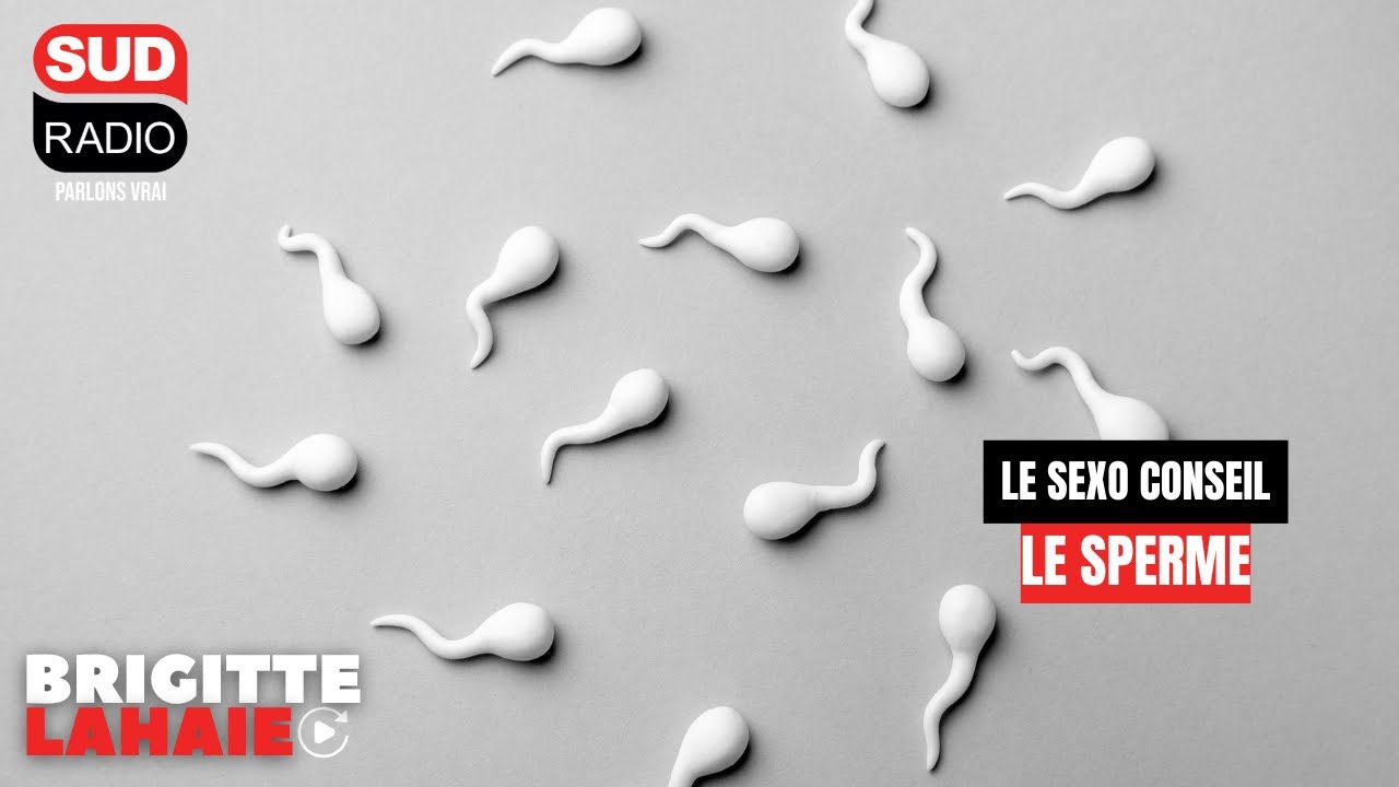 Sexo Conseil – Le sperme