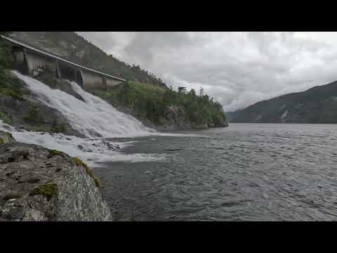 كلهم قد كبروا فيروز