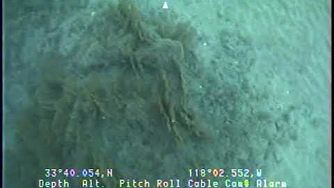 O-1-04-SC_Tape24-Vertical.mp4