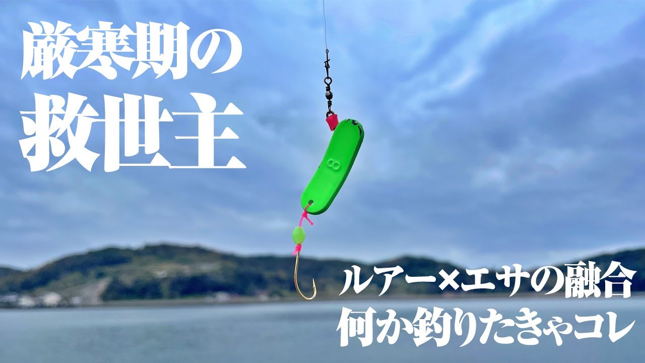 色々釣れてコスパ◎！魚が減る今の時期こそオススメしたい仕掛けと出会った。仕掛け自体も超シンプルなんで釣り歴浅い方にも推したい！！