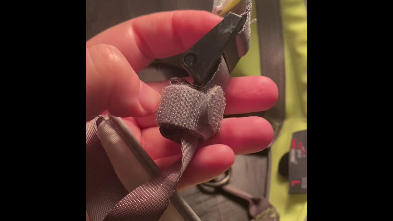 Light Hound Illuminated Harness Review *Caution: Flashing Lights in Video*