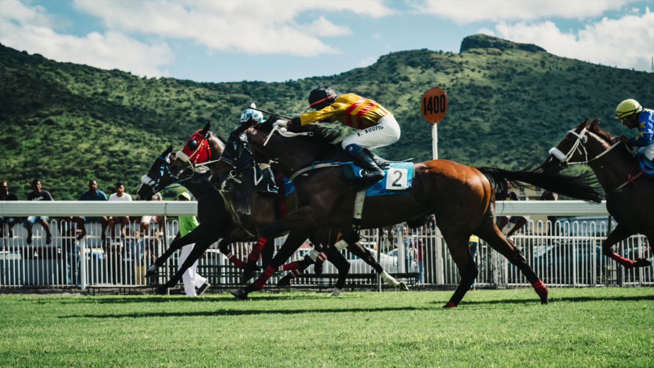 horse racing sound effects
