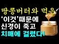 땅콩버터와 절대로 함께 먹지마세요! 암과 치매에 걸릴 수 있습니다! 땅콩버터와 먹으면 최악의 궁합 3가지와 건강지키는 최고의 음식 3가지까지 [땅콩버터효능, 건강 정보] #건강