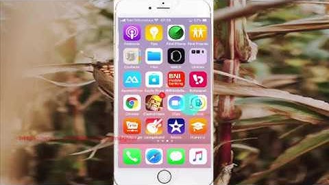 How to enable or disable search engines outside of to link facebook Profile in iPhone 6