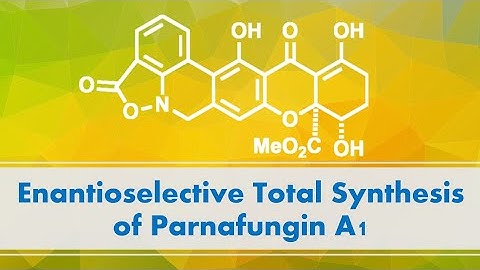 Enantioselective Total Synthesis of Parnafungin A1
