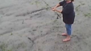 Roy's videos 124.AVI