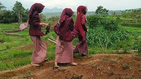 Pernikahan Aril Viral Bertemu Di Kandang Ayam Di Kampung Cigentur Sukamaju Kersamanah Garut