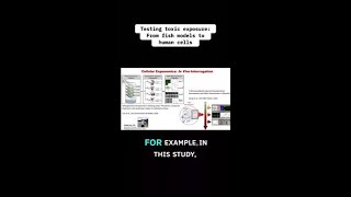 Can toxic exposure impact neurodevelopment? See the latest findings.