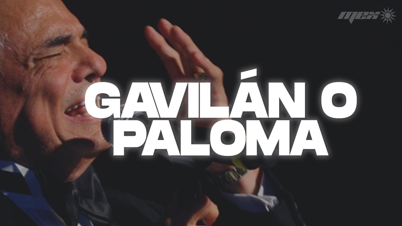 José José - Gavilán o Paloma (Letra) - YouTube