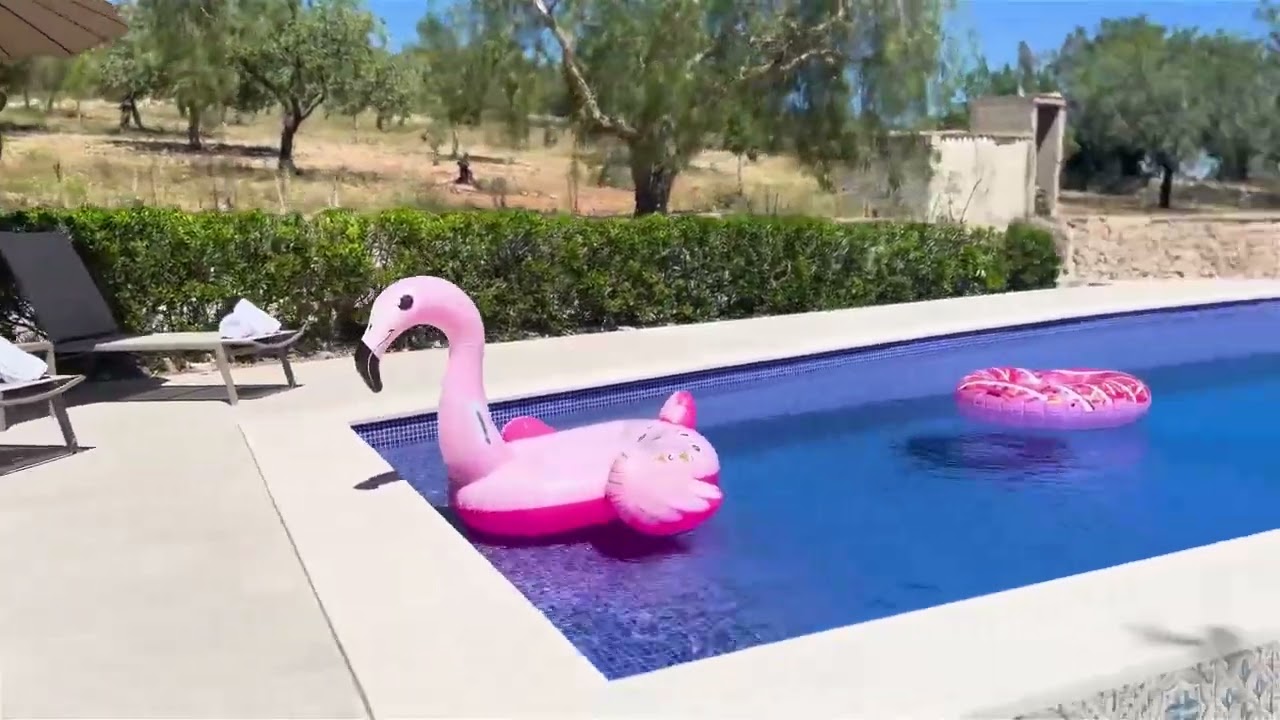 Finca C'an Gomez - Sonnenterasse