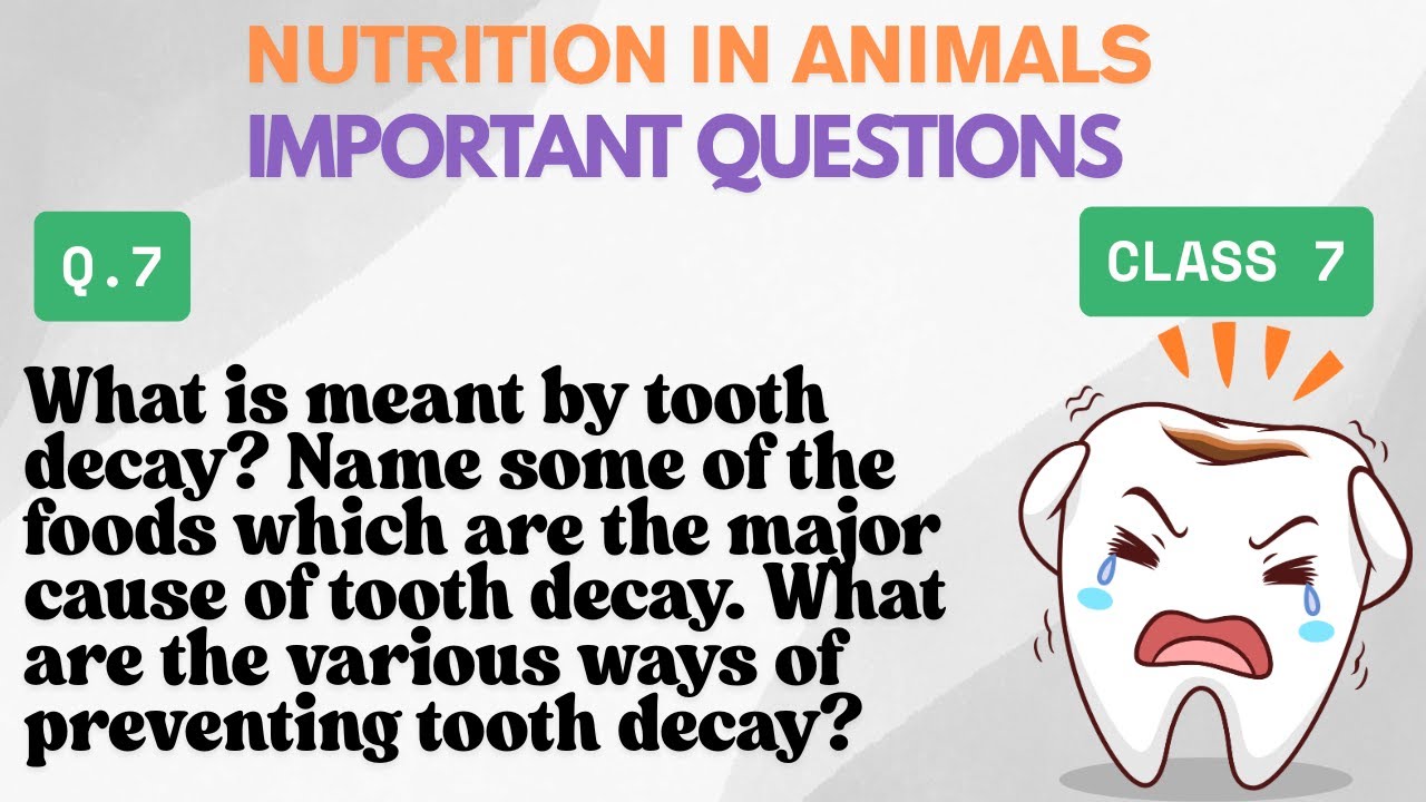 What is meant by tooth decay? Name some of the foods which are the