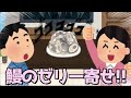 【アニメ】変な手料理ばっかり食わされる奴!!!!!!!!!