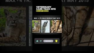 Vet Care Presentation By Dr. Boorstein~Part 48 Of 59