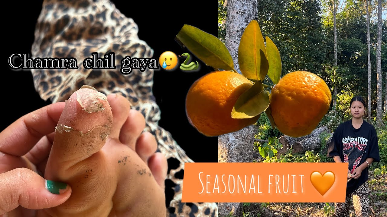 Seasonal fruit 🧡|| orange🍊 