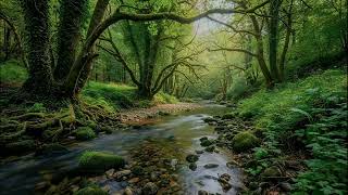 Connect Mind And Body - Harmonious River Waterfall for Breath Alignment & Holistic Care