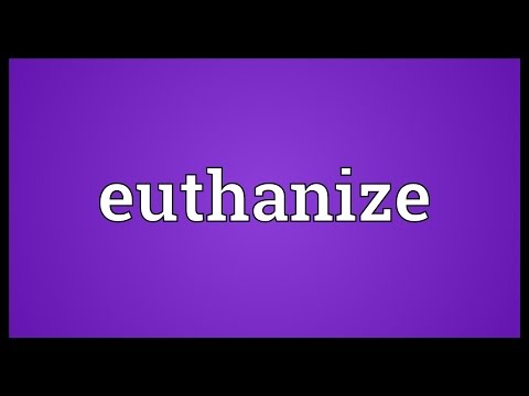 Video: Euthanize- ի որոշում. Սրտաճմլիկ նույնիսկ այն դեպքում, երբ դա ճիշտ բան է