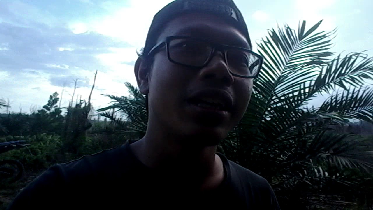 Jalan sore santuy puncak anai pelalawan - YouTube