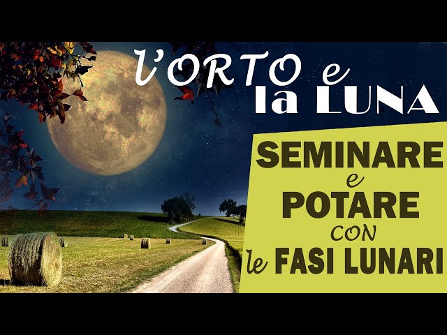calendario della semina 2024