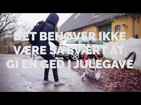 Video: Stege En Ged, Støtt En Gård - Matador Network
