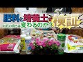 【ペチュニアで実験】肥料や培養土には沢山の種類があります!そこで『肥料』『培養土』『育てる人』が変わるとお花はどう育つのか検証したいと思います!実際に植え付けながら詳しい説明をします♪