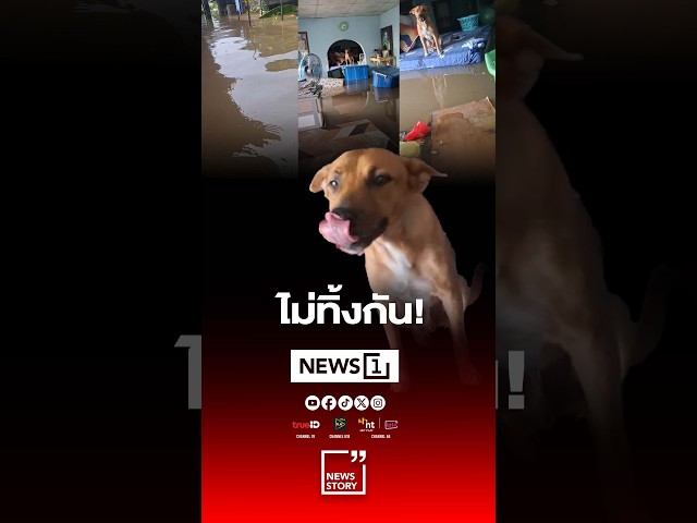 ไม่ทิ้งกัน!