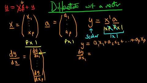 A Graduate Course in Econometrics Lecture 03 | How to Differentiate with respect to a Vector Part 1