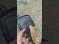 Metal Detector Teknetics T2+ come impostarlo per Spazzolare in Pineta #metaldetector #metaldetecting