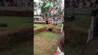 2024 Piglet Races @ Tocal Field Days