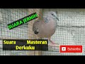 Masteran Burung Tekukur Derkuku Dengan Suara Jernih Cocok Juga Untuk Pikat Mp3 - Mp4 Download