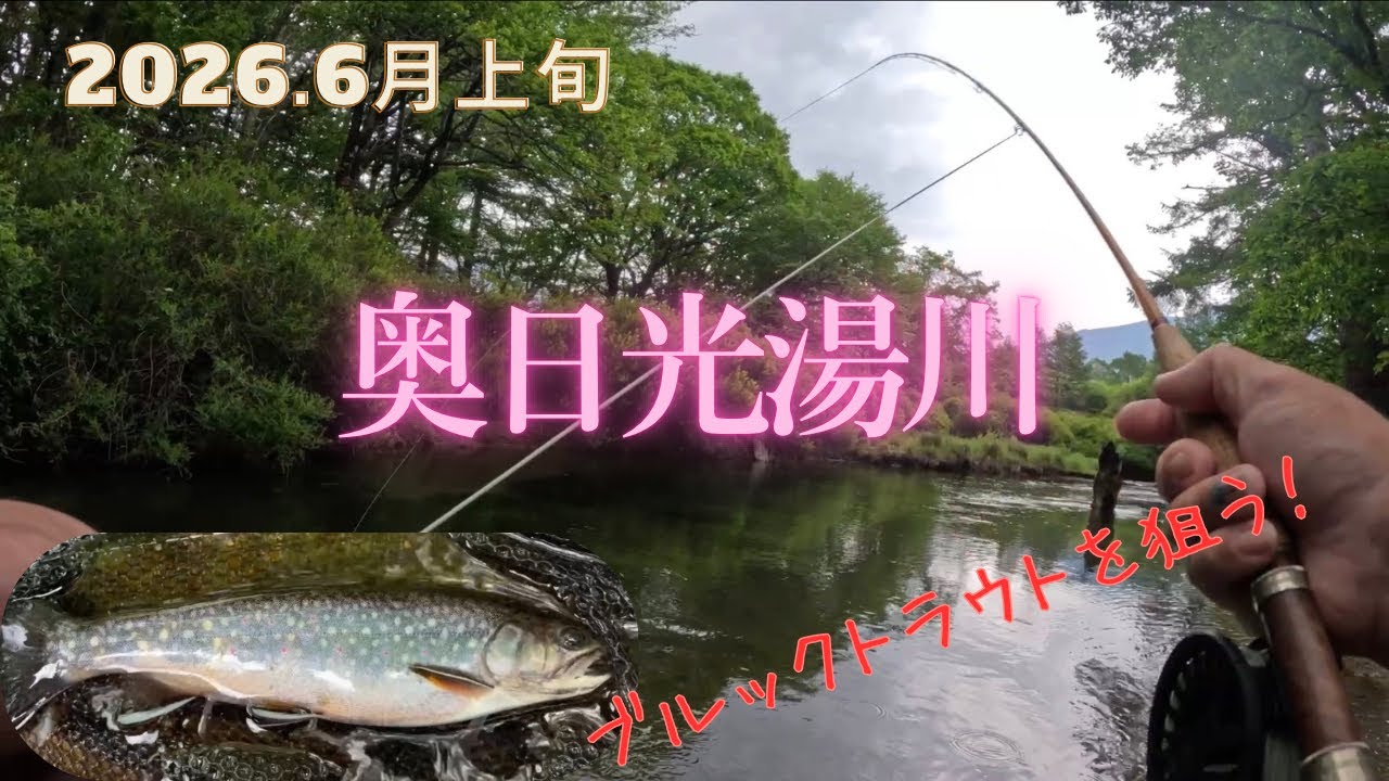 渓流釣り】何10年かぶりに奥日光湯川に行ってみたらなかなかのハイ