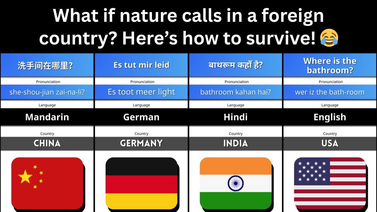 Where is the Washroom in 50 Languages 🚻✈️