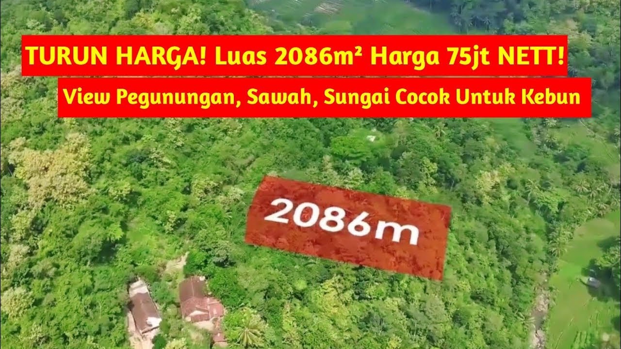 Jual Tanah 2086m² MURAH Cuma 95jt NETT!!! View Pegunungan, Sawah, Sungai Cocok Untuk Kebun