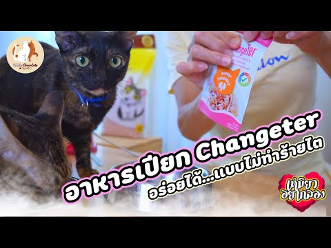 รีวิวอาหารแมว Changeter อร่อยได้ แบบไม่ทำร้ายไต เหมียวอยากลอง
