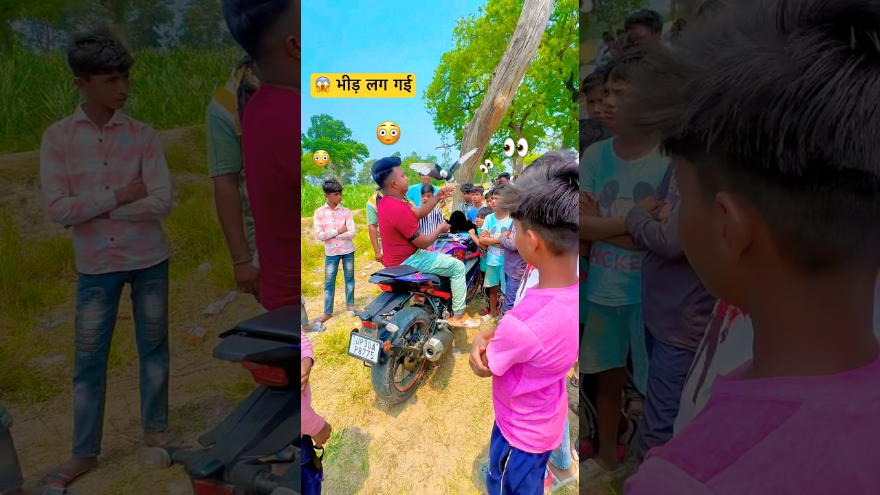 😱New blacky kaisa lga??🤔 // pigeon shorts video // shorts video #pigeon #birds #shorts #shortvideo