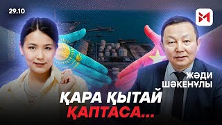 видео: Жәди Шәкенұлы: “Қазақстан Қытайдың табанының астында қалып қоюы мүмкін” картинка: Жәди Шәкенұлы: “Қазақстан Қытайдың табанының астында қалып қоюы мүмкін”