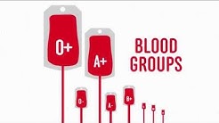 What Blood Type Can Donate To Others? - Behind the News