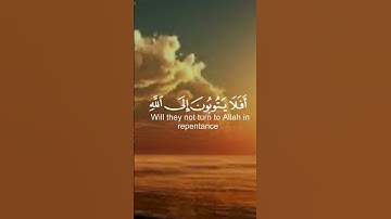 تلاوة من سورة المائدة -القارئ عبد الرحمن مسعد