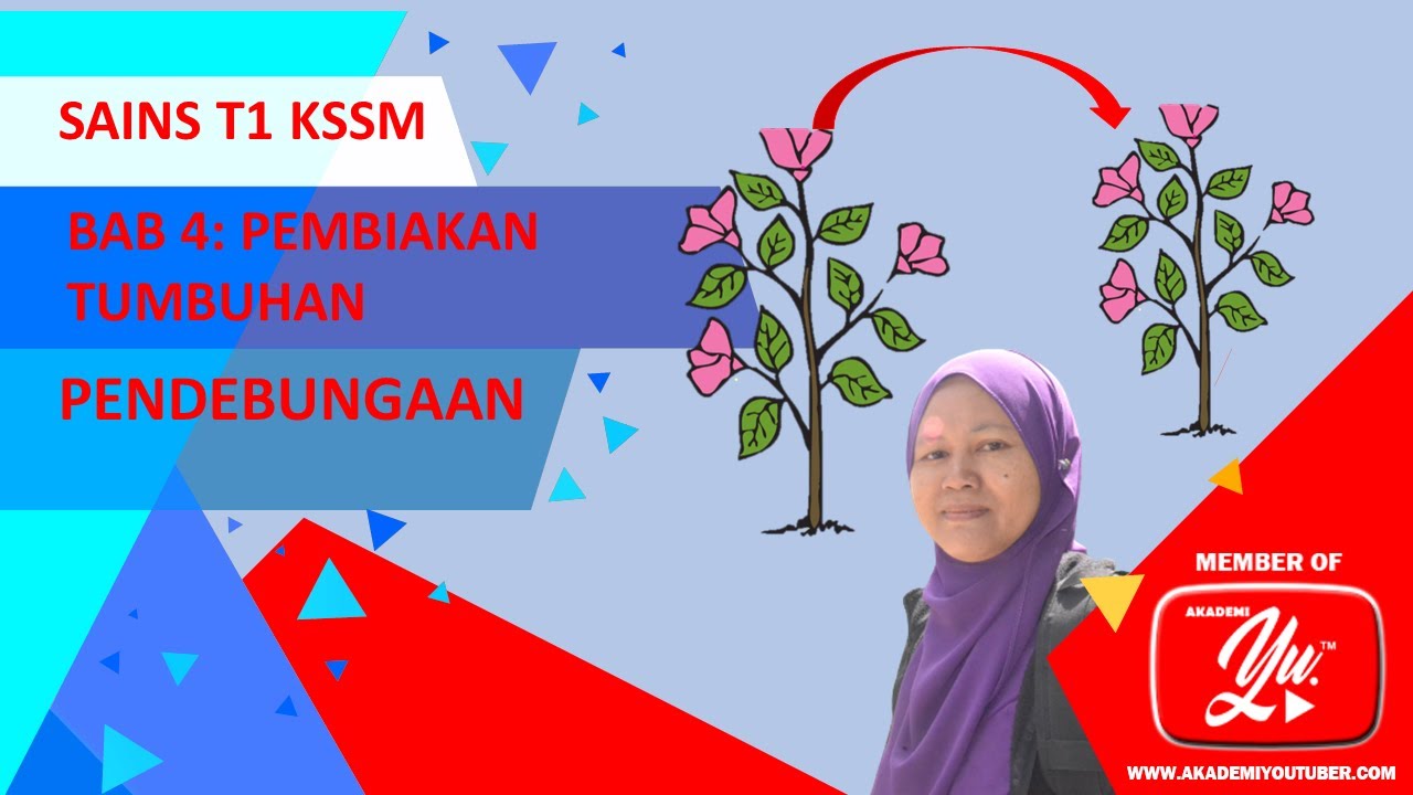 Sains Ting 1 L Bab4 Pembiakan L Pendebungaan Youtube