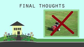 Rain Gardens 101, Part Five: Reassessing Your Rain Garden and Final Tips