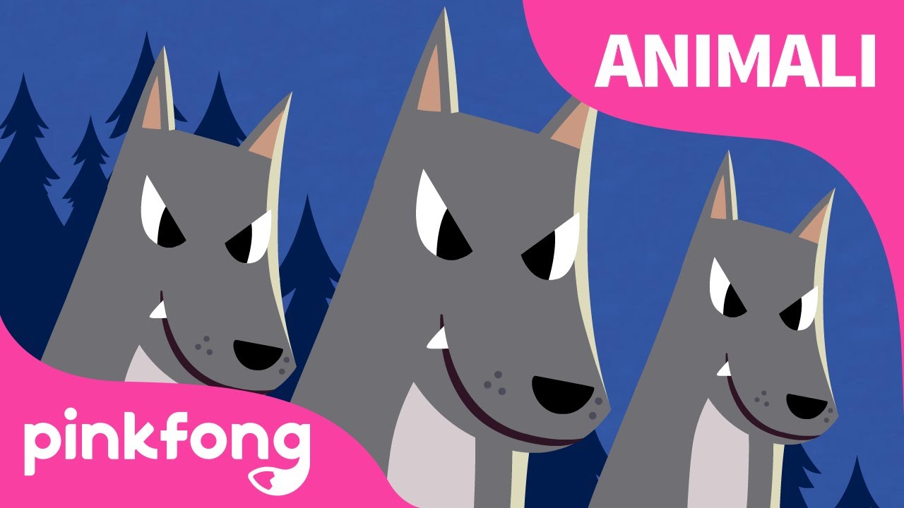 Gli Animali NotturniㅣCanzoni sugli AnimaliㅣPinkfong, Bimbo Squalo! Canzoni per Bambini