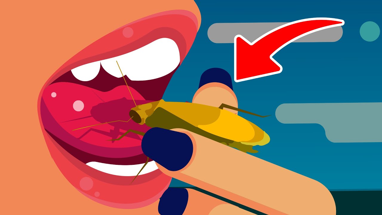 What Will We Eat In The Future? YouTube