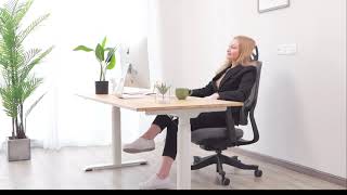 Flexispot Soutien Ergonomic Office Chair