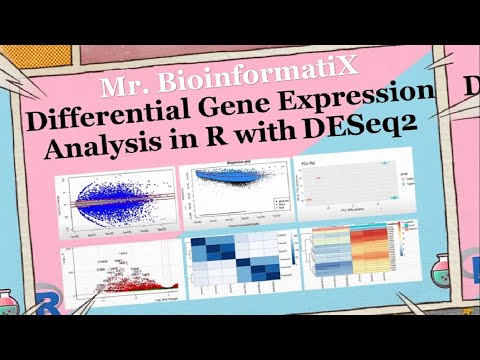 Differential Gene Expression