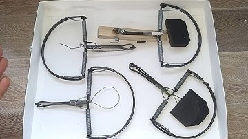 4 phiên bản bẫy chuột bán nguyệt cực mạnh