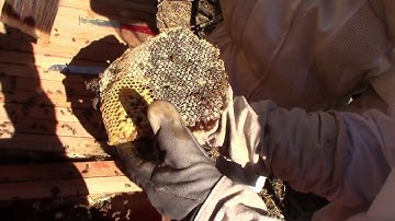 Correcting cross comb; What a mess!