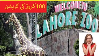 Lahore Zoo Reopened 😍 || Lahore Zoo 2024 Latest Video ||Lahore Zoo 2024 || full corruptio zoo