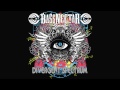 Bassnectar - Upside Down [FULL OFFICIAL]