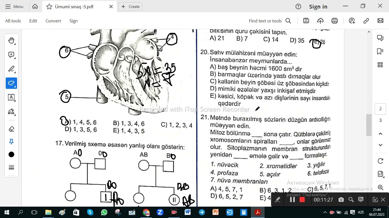 TAİM Ümumi sınaq  5