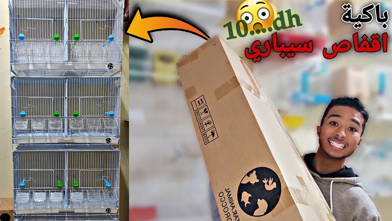 شريت كرطونة ديال اقفاص ( siparation ) 🦜🔥 و غيرت شكل ديال الغرفة الطيور 😯🔥